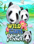 รีวิวเกม poker online สุดมันจาก CQ9